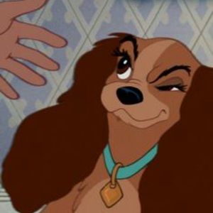 Meet your Posher, Czarina